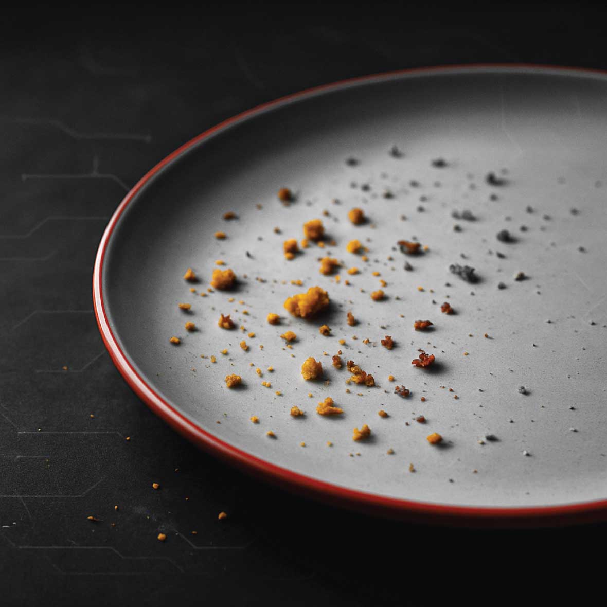 plate with crumbs. no more cookies
